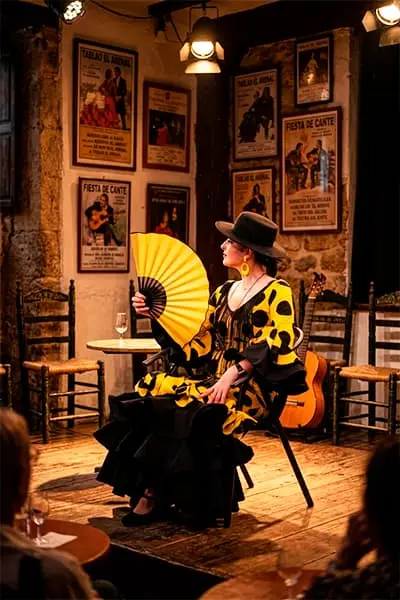 Flamenco dans le Sacromonte - Grenade, guide de voyage Bmetcarhire